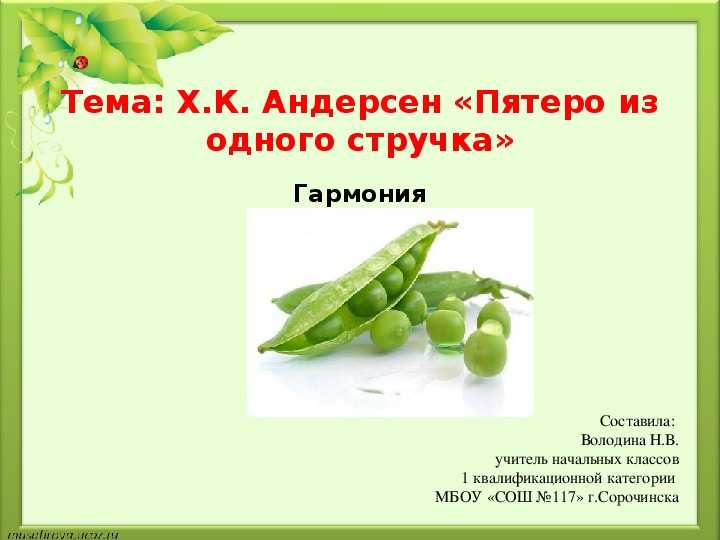 Пятеро из одного стручка