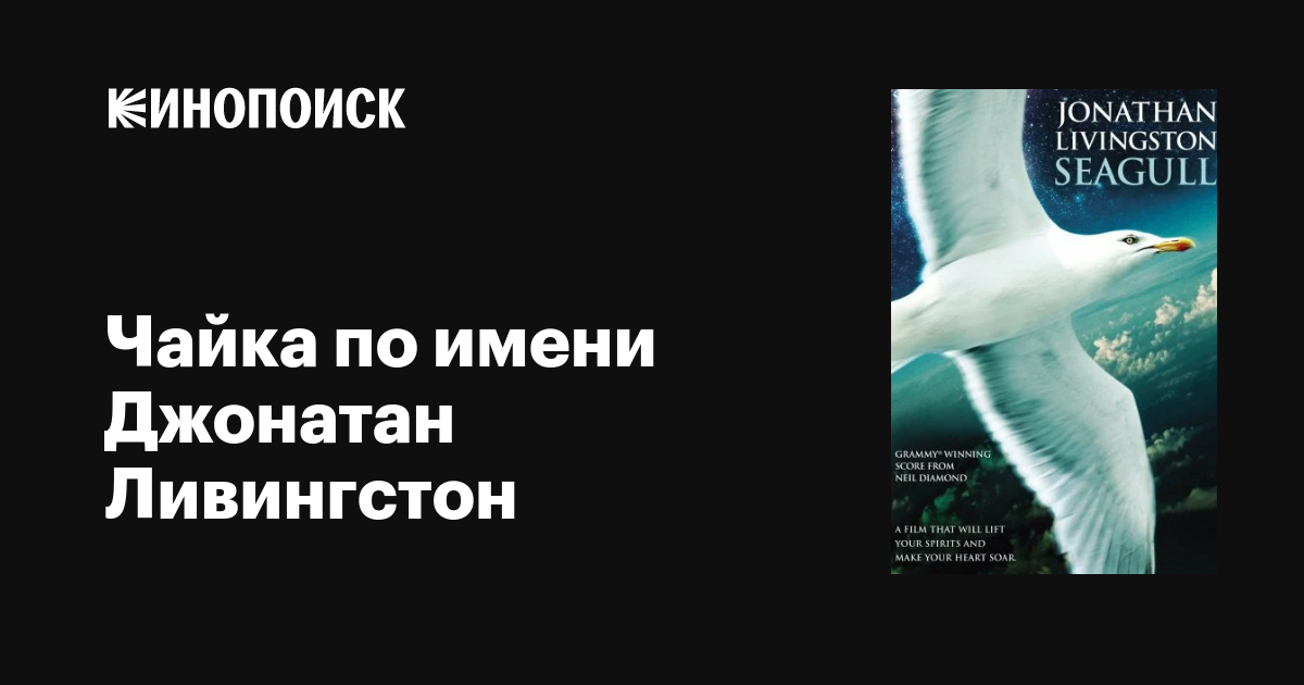 Чайка по имени джонатан ливингстон. Чайка Джонатан фильм. Чайка по имени Джонатан Ливингстон фильм 1973. Jonathan Livingston Seagull Чайка по имени Джонатан Ливингстон. Чайка по имени Джонатан Ливингстон аннотация.