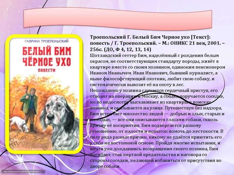 «белый бим черное ухо» герои повести, характеристика, внешность, характер персонажей :: сочиняшка.ру
