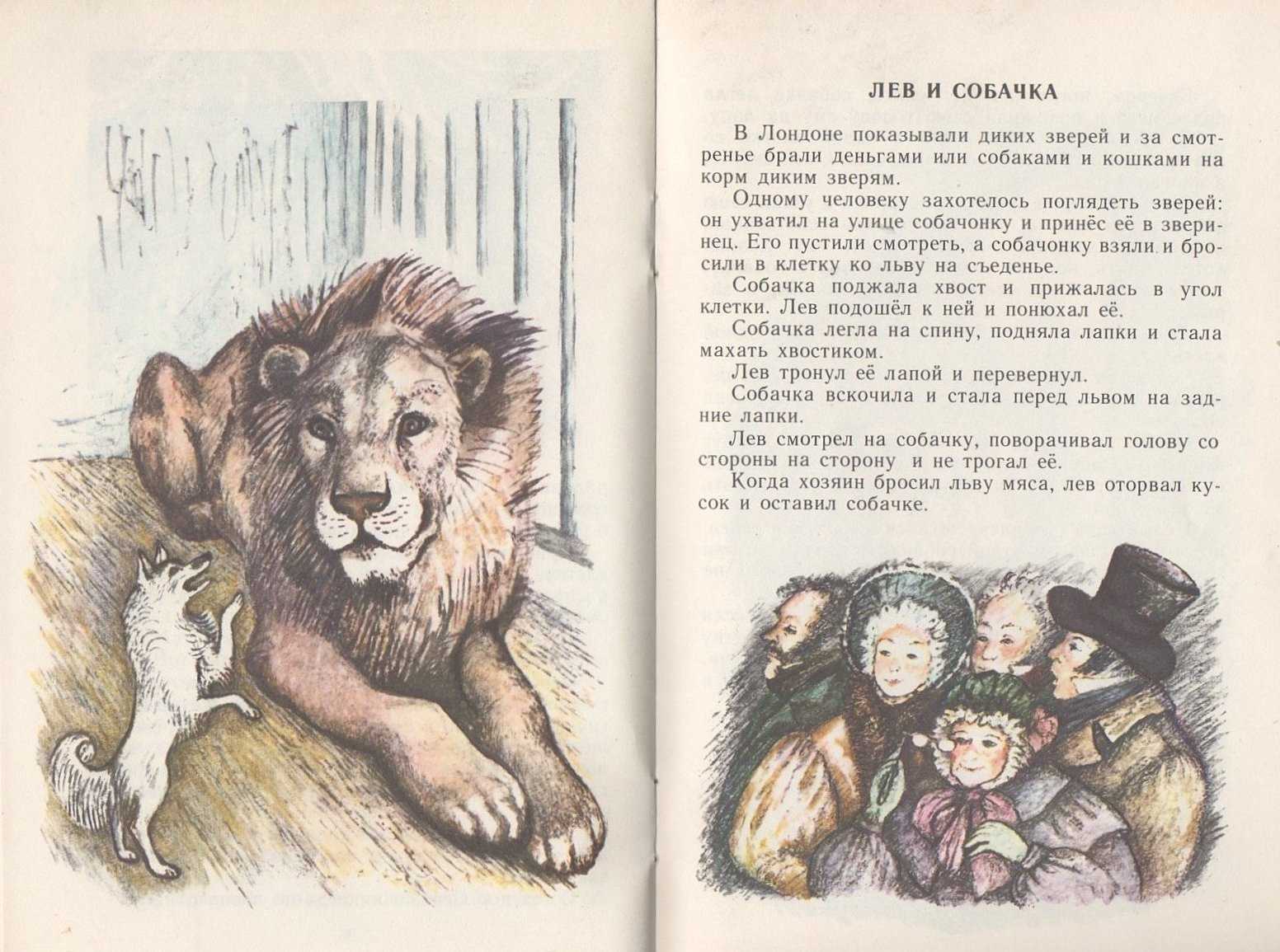 Анализ рассказа «лев и собачка» (л.н. толстой) | литрекон