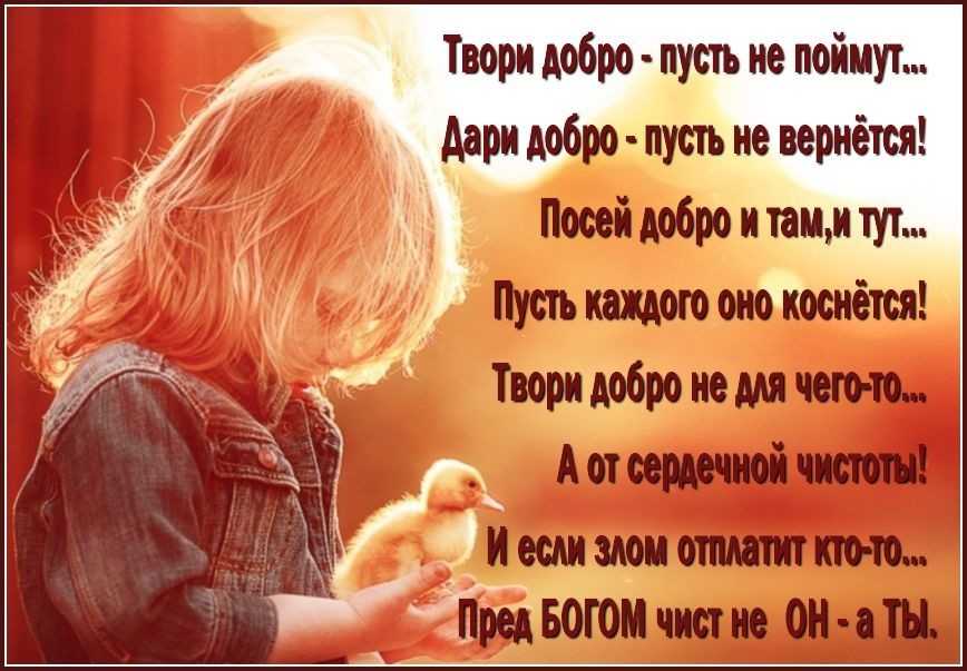 Читательский дневник/белошапкина марина — wiki-сибириада