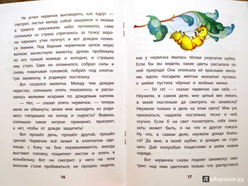 Владимир одоевский ★ разбитый кувшин читать книгу онлайн бесплатно