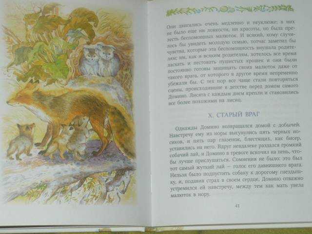 Домино э.сетон-томпсон