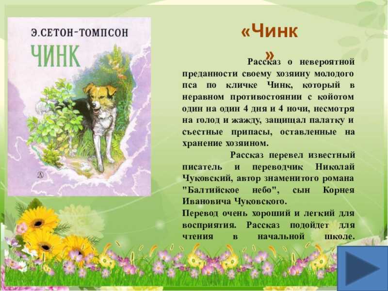 Э. сетон-томпсон. чинк