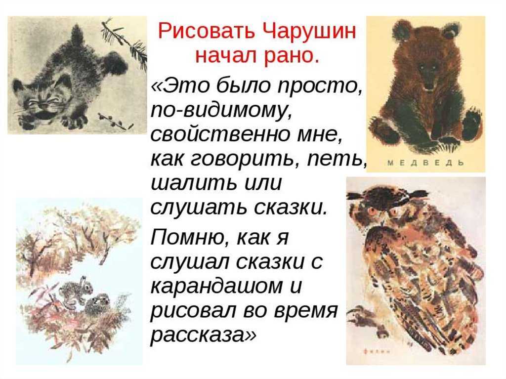 Кабаны — рассказ евгения чарушина