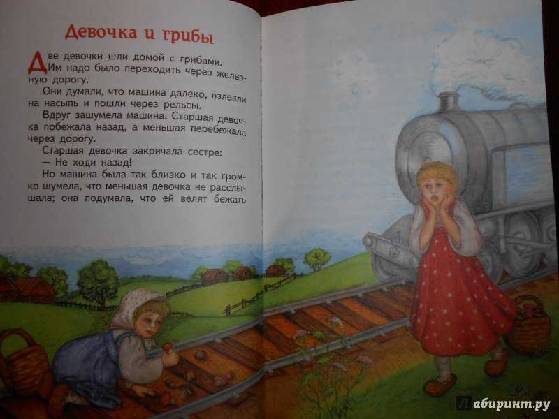 Школьное чтиво: толстой л. "девочка и грибы"