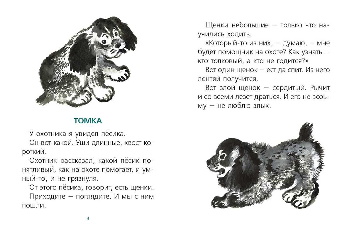 Рассказ автора: евгений иванович чарушин             - «про томку». читать  онлайн , с картинками. можно распечатать, бесплатно, полный текст.
