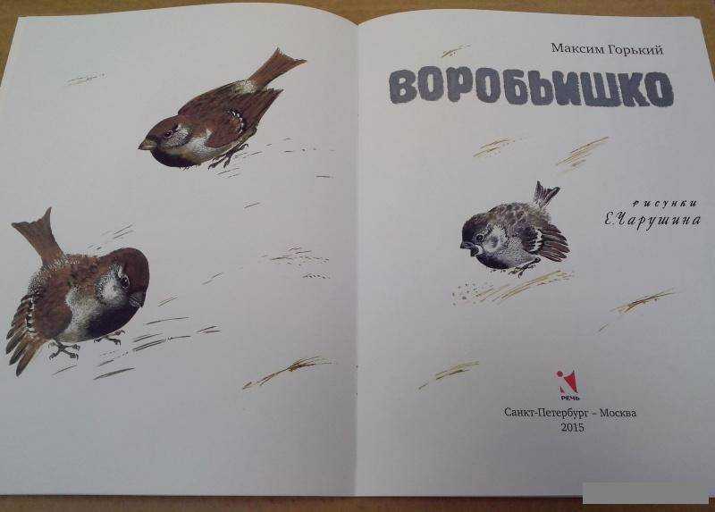 Воробей птица. образ жизни и среда обитания воробья