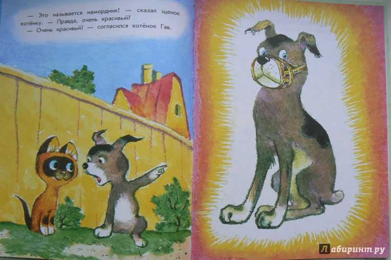 Котёнок по имени гав