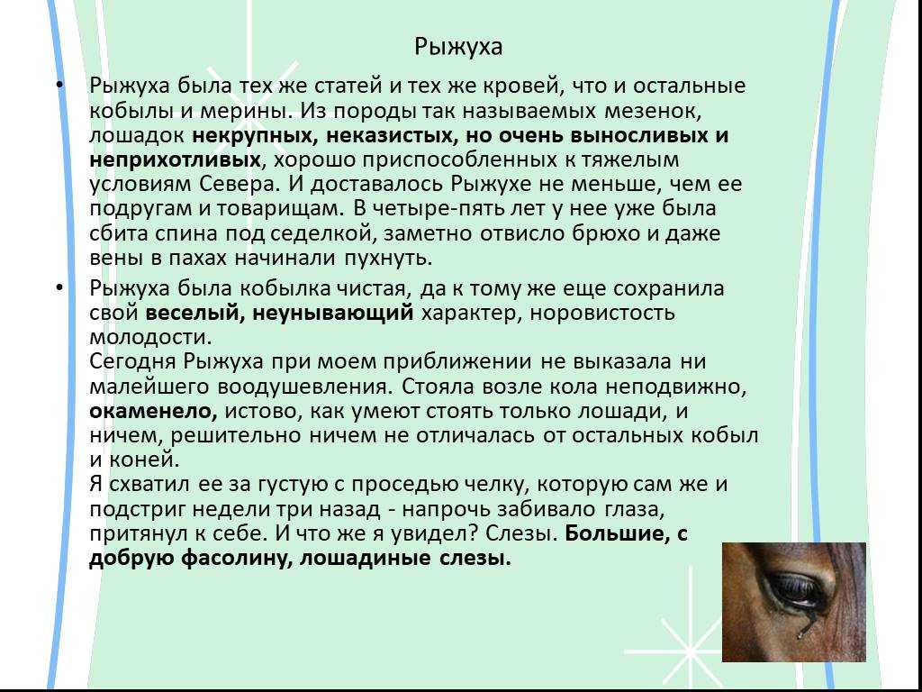 «о чем плачут лошади» — краткое содержание рассказа ф. абрамова
