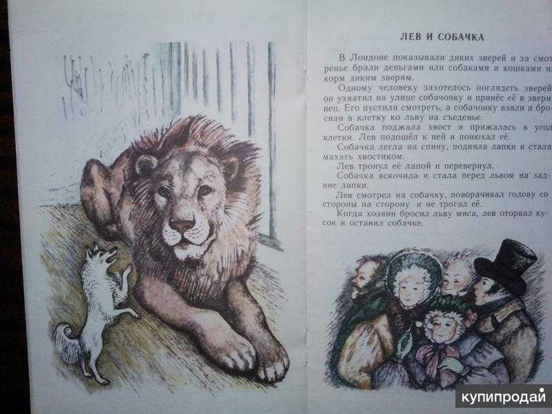 «лев и собачка» краткое содержание для читательского дневника по сказке толстого (3 класс) – главная мысль, план пересказа, пословицы