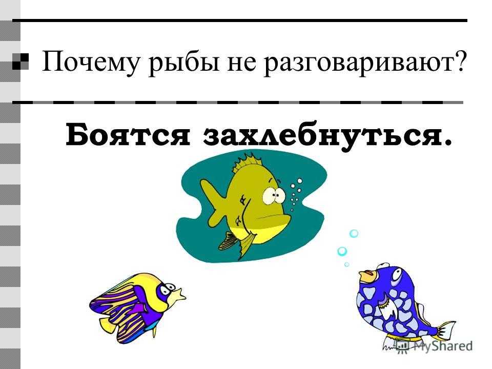 Б.в. заходер - почему рыбы молчат