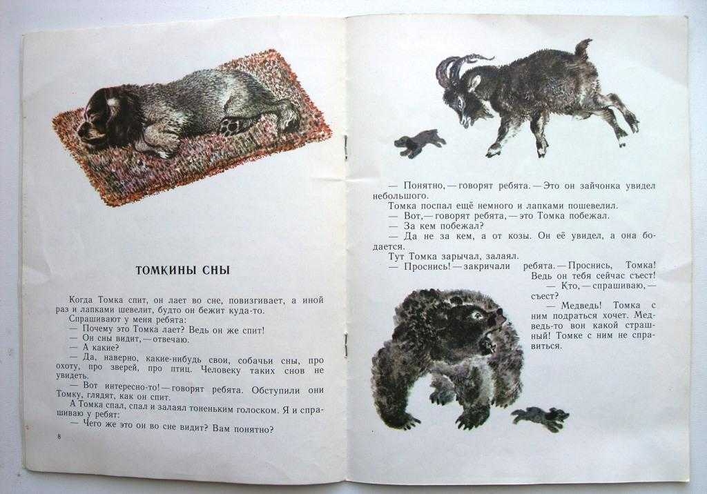 Друзья — рассказ евгения чарушина