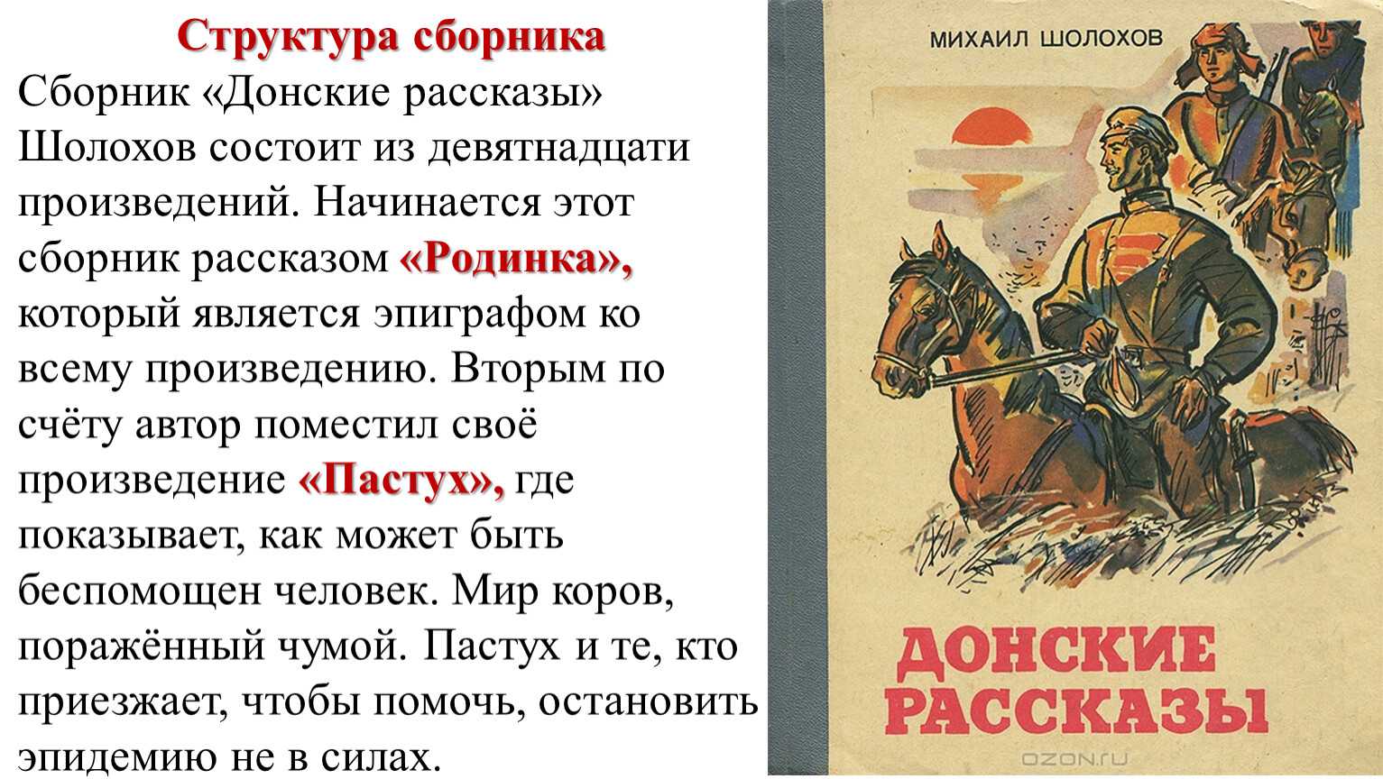 Председатель хутора поехал в станицу за оружием для защиты от банды, но по пути на него напали её члены Его спасла милиция Герою отрезали ногу, но он был готов дальше воевать за советскую власть