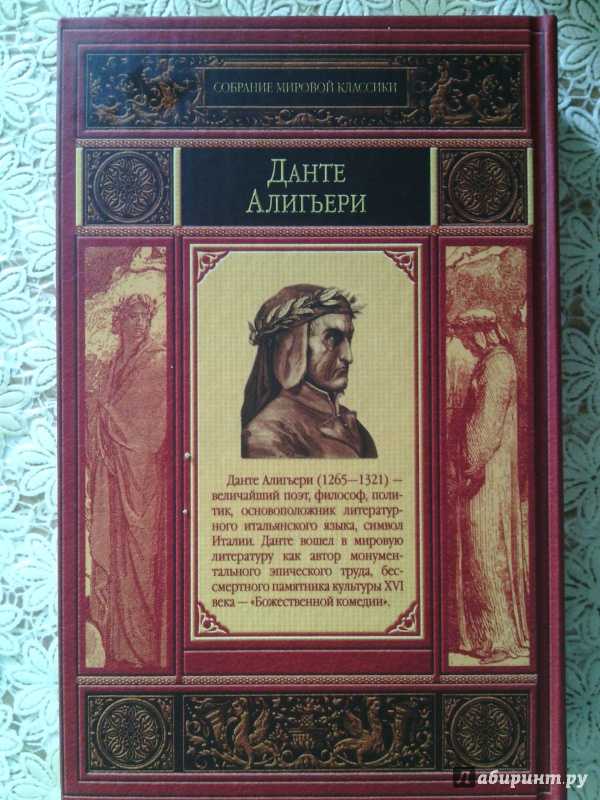 Читать книгу новая жизнь данте алигьери : онлайн чтение - страница 1