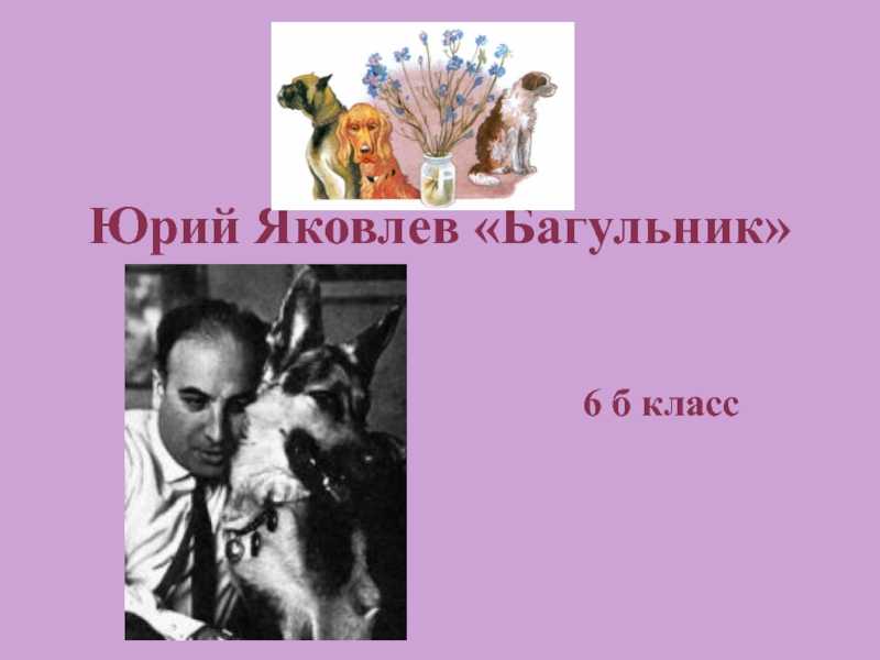 Testsoch.ru