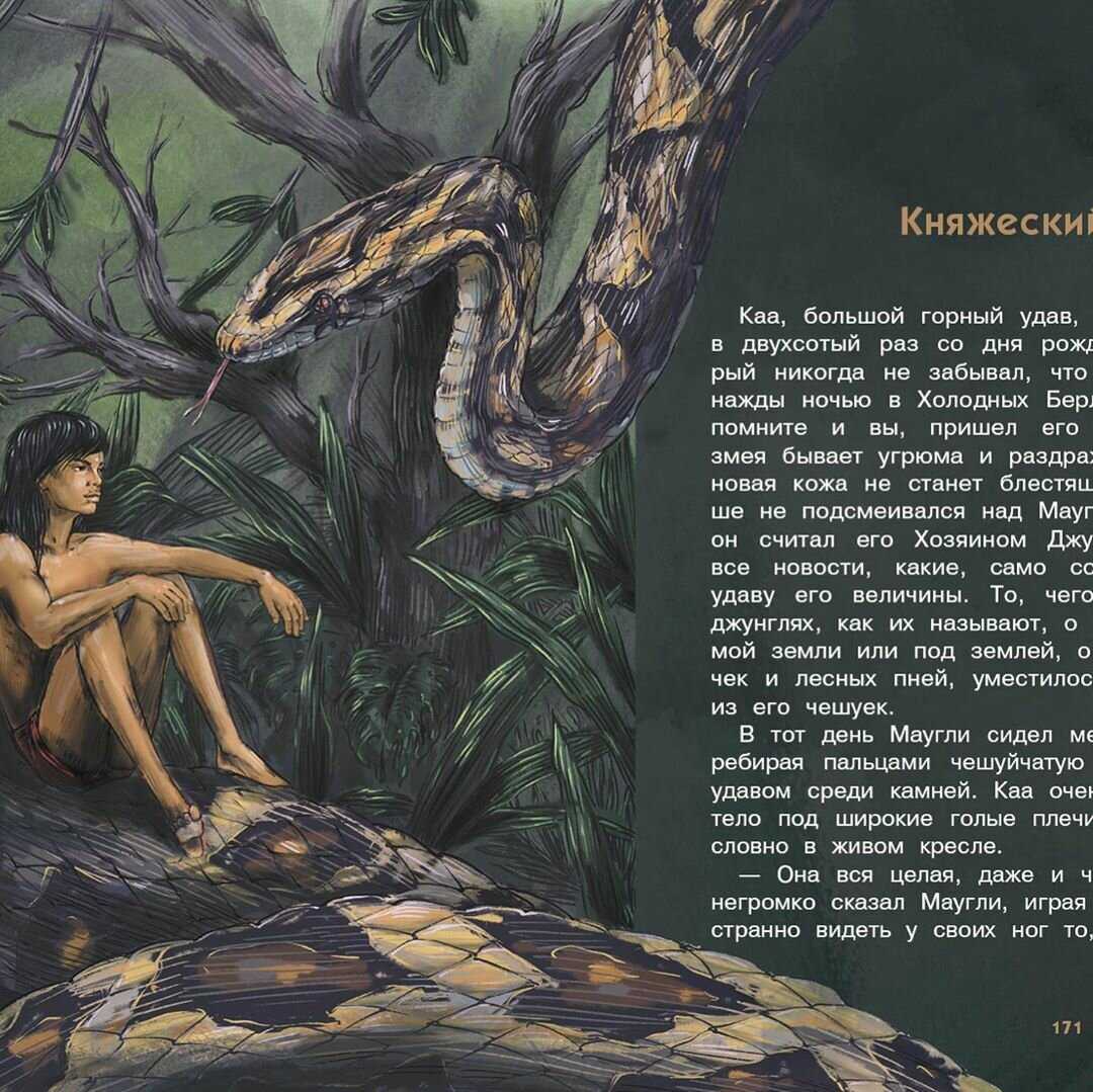 Маугли