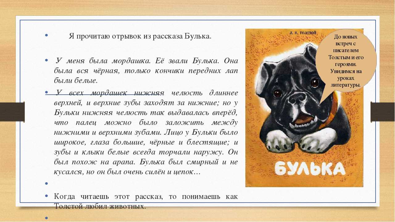 Лев толстой ★ булька читать книгу онлайн бесплатно