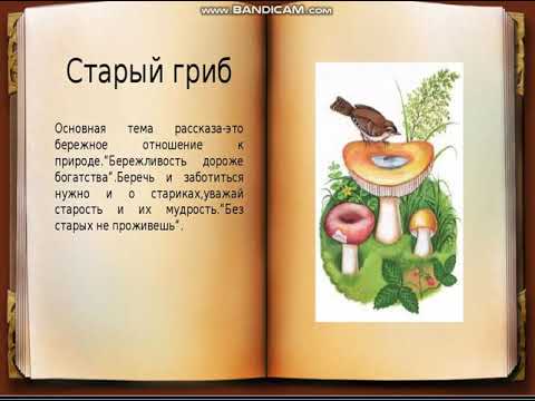 Михаил пришвин: старый гриб
