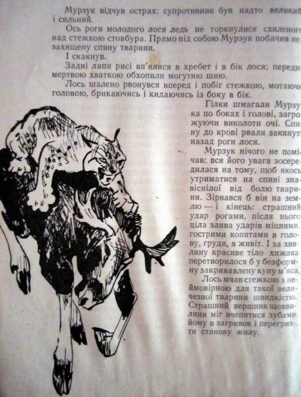 Краткое содержание бианки мурзук для читательского дневника