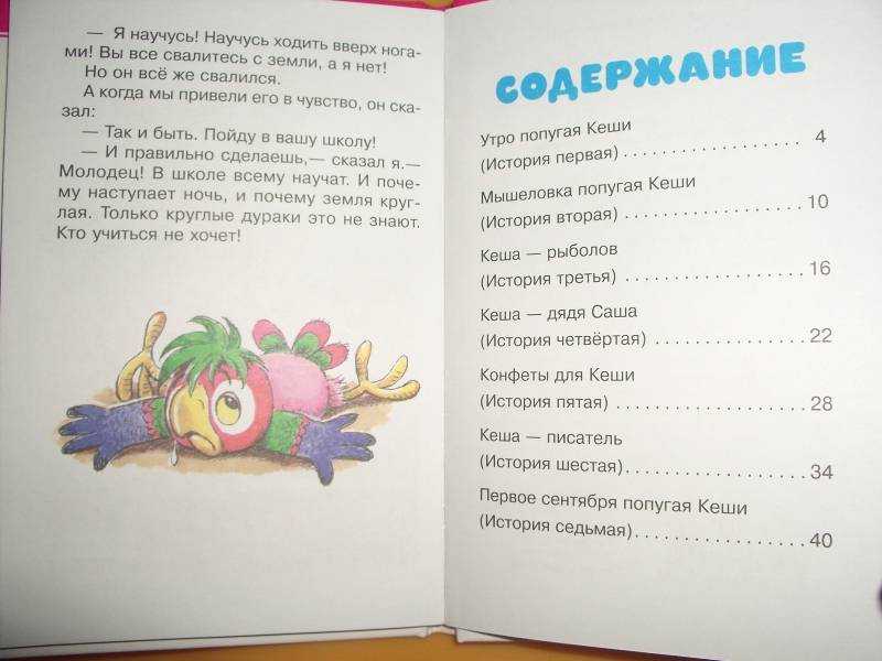 Сказка про попугая джембо — сказка на ночь для детей