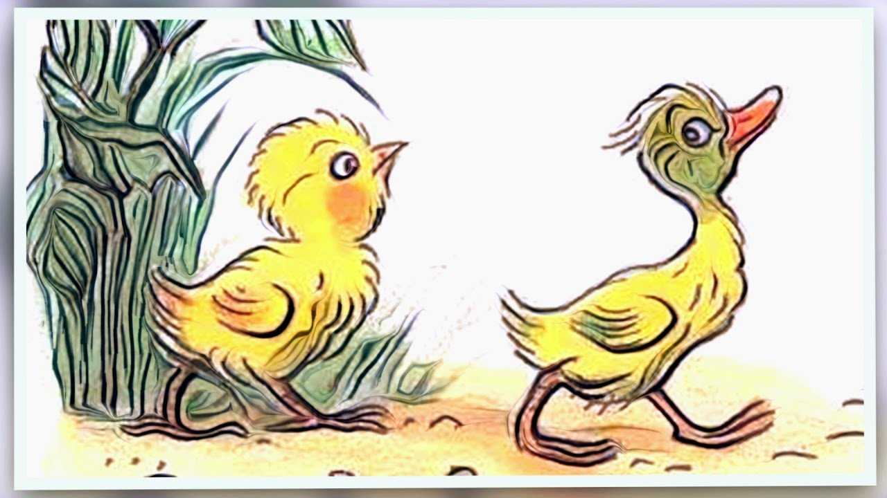 Цыпленок и утенок. сказки и картинки владимира григорьевича сутеева - сказки сунгиря