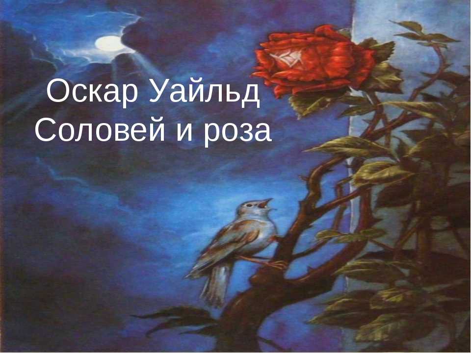 Сказка соловей и роза читать онлайн бесплатно