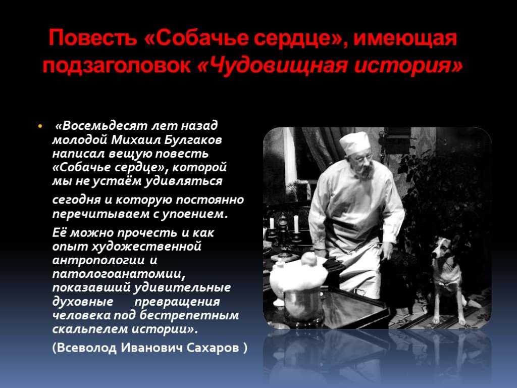 Повесть богомолова иван читать краткое содержание. сочинение по рассказу богомолова иван