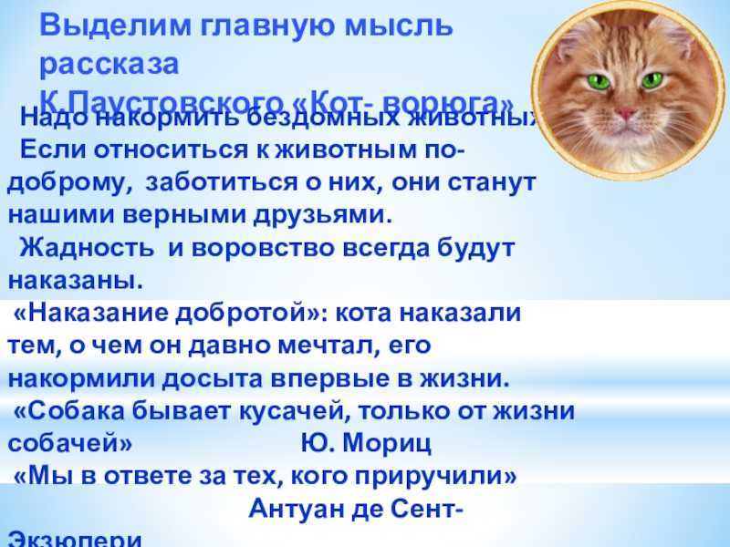 Банка с червями (телепрограмма)