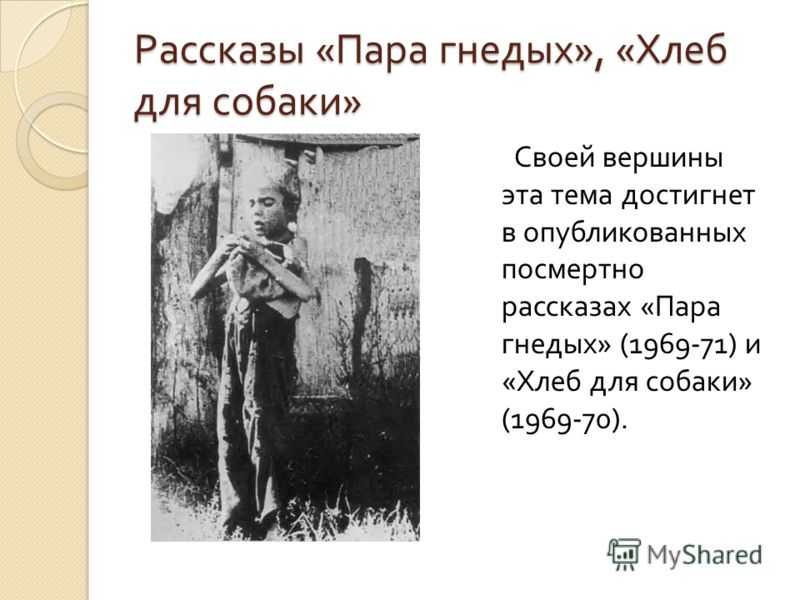 Краткое содержание тендряков пара гнедых за 2 минуты пересказ сюжета