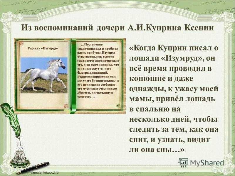 «ю-ю» краткое содержание рассказа куприна – читать пересказ онлайн