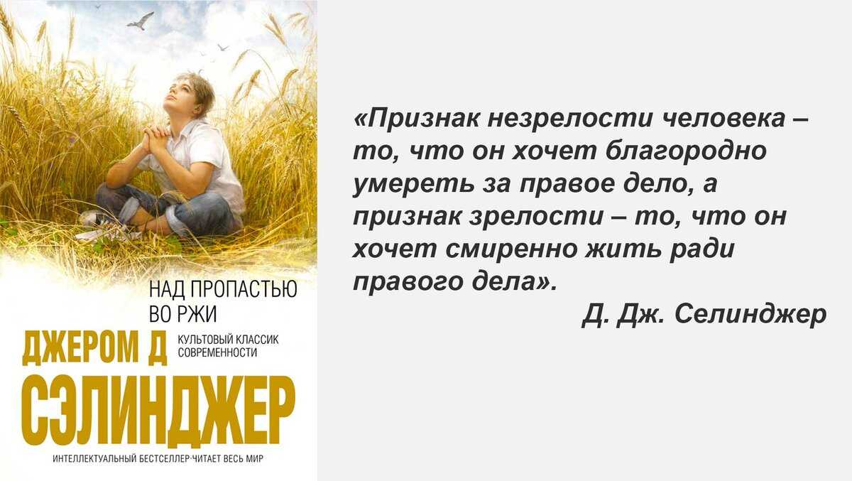 Анализ произведения «над пропастью во ржи» (сэлинджер) | литерагуру
