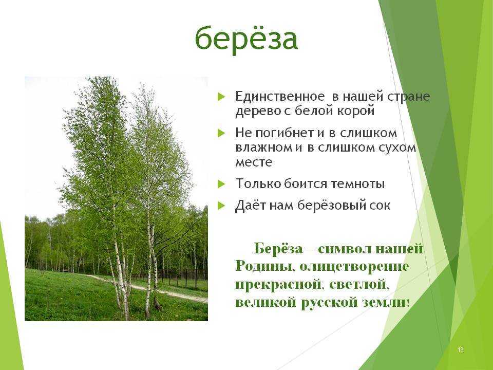 Книга екклесиаста или проповедника, читать онлайн на русском