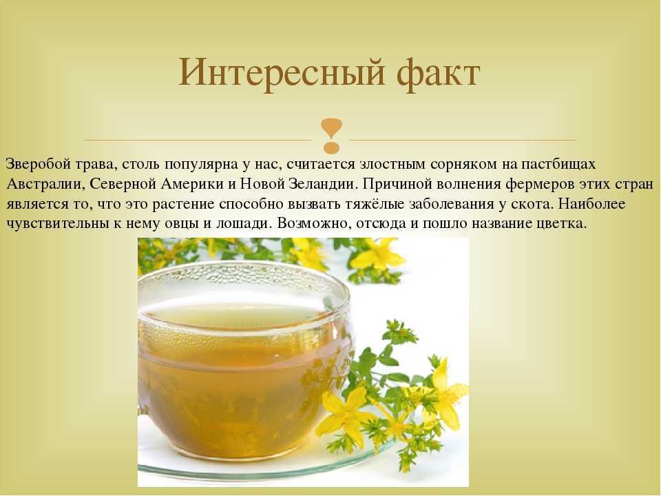 Влияние научно-технического прогресса на человека, общество и экологию