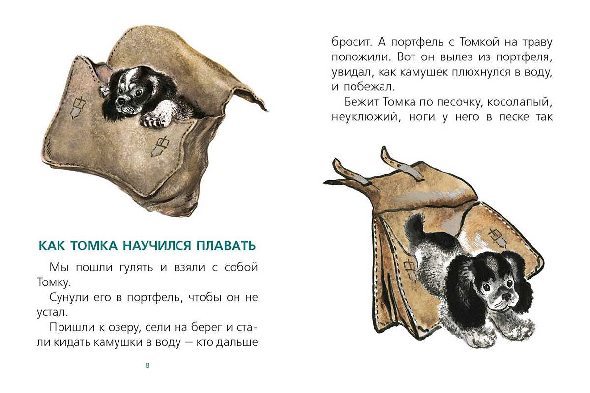 Рассказы про томку чарушин читать с картинками