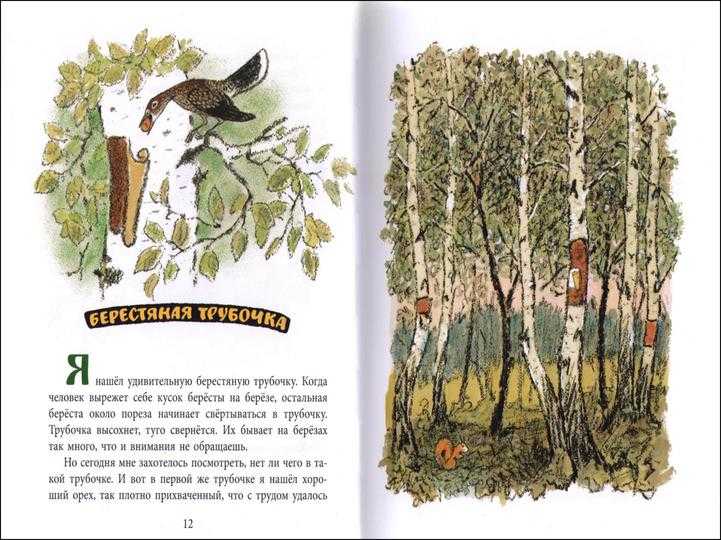 «берестяная трубочка» краткое содержание для читательского дневника по сказке пришвина (1 класс) – отзыв, главная мысль, чему учит