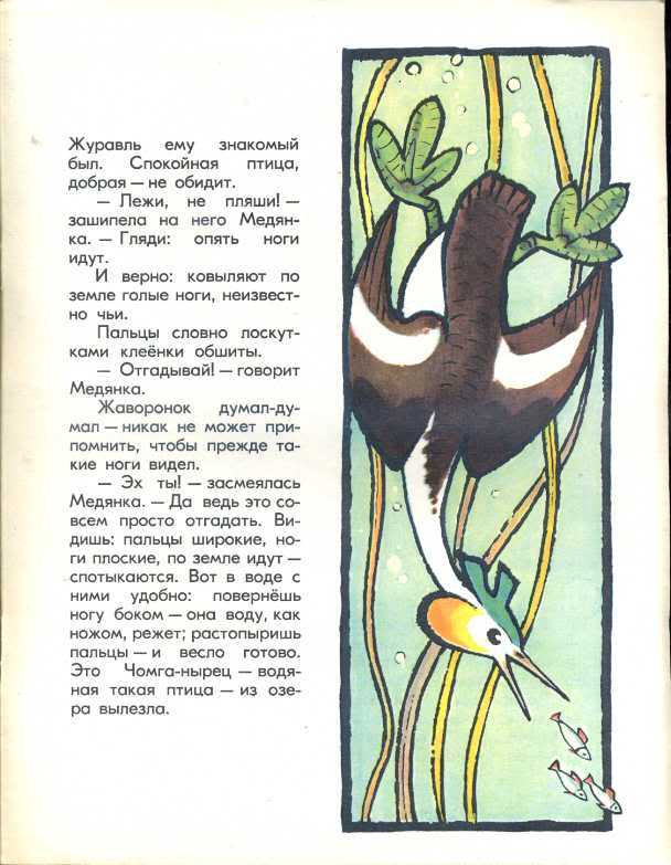 Ноги рассказ. Виталий Бианки чьи это ноги. Чьи это ноги Бианки. Чьи это ноги Бианки читать. Сказка чьи это ноги.