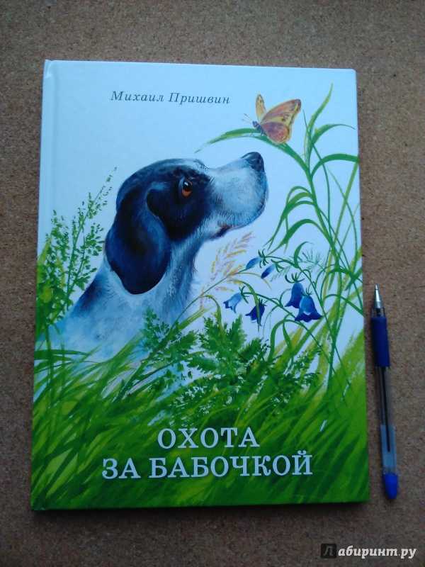 Пришвин медведь муравьи охота за бабочками