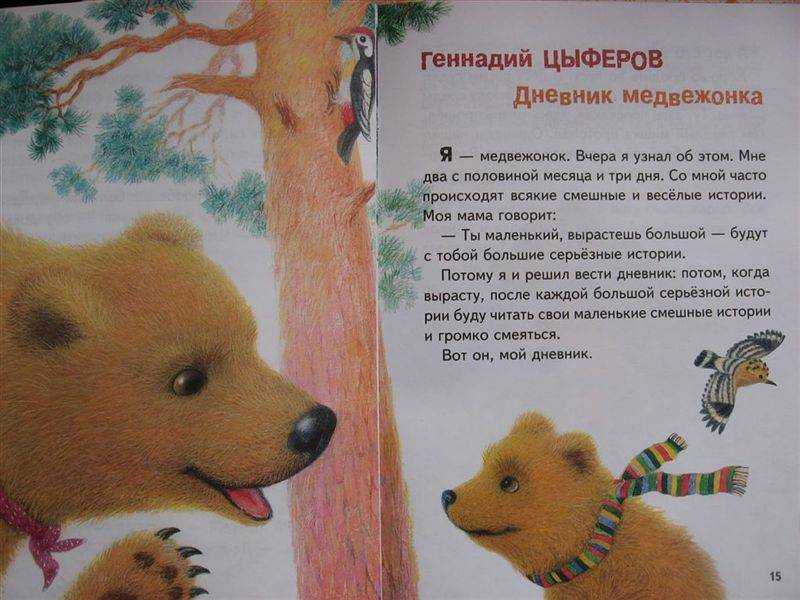Читать про мишку. Сказка про мишку. Сказка про медвежонка. Короткая сказка про медведя. Сказки маленькие про медведя.