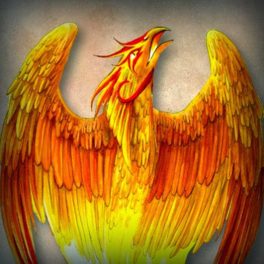 Финист — ясный сокол 🦅 русская народная сказка 😺 читаем на ночь