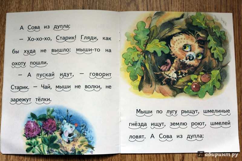 Сказка (рассказ)  сова - бианки в. в. рассказ читать текст онлайн бесплатно - stihiskazki.ru