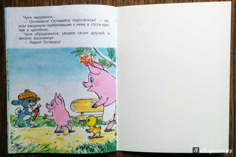 Чуня — карганова е.г.