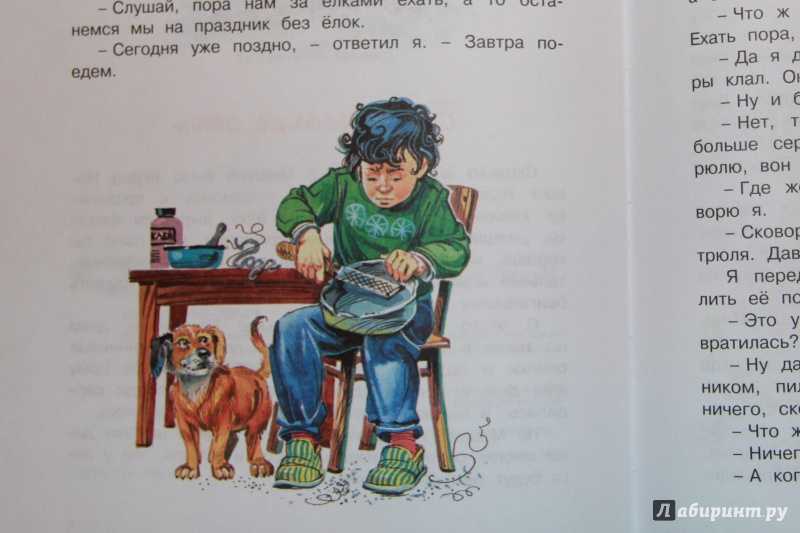 Бенгальские огни  читать рассказ носова онлайн