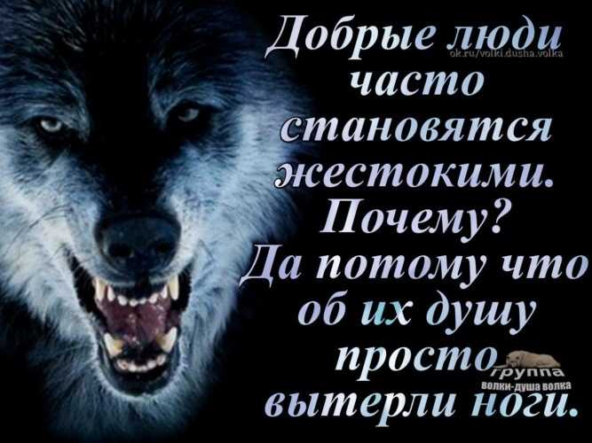 Сочинение-рассуждение на тему добрый человек - сочинения по русскому языку