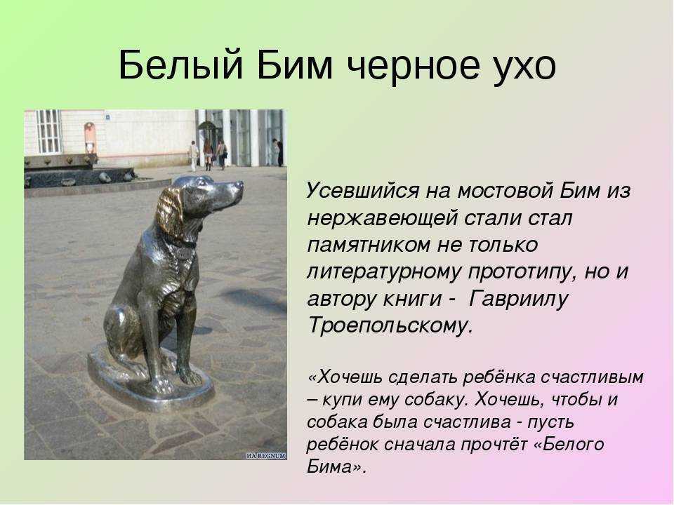 Л. н. андреев. «кусака» (1901). 7 класс