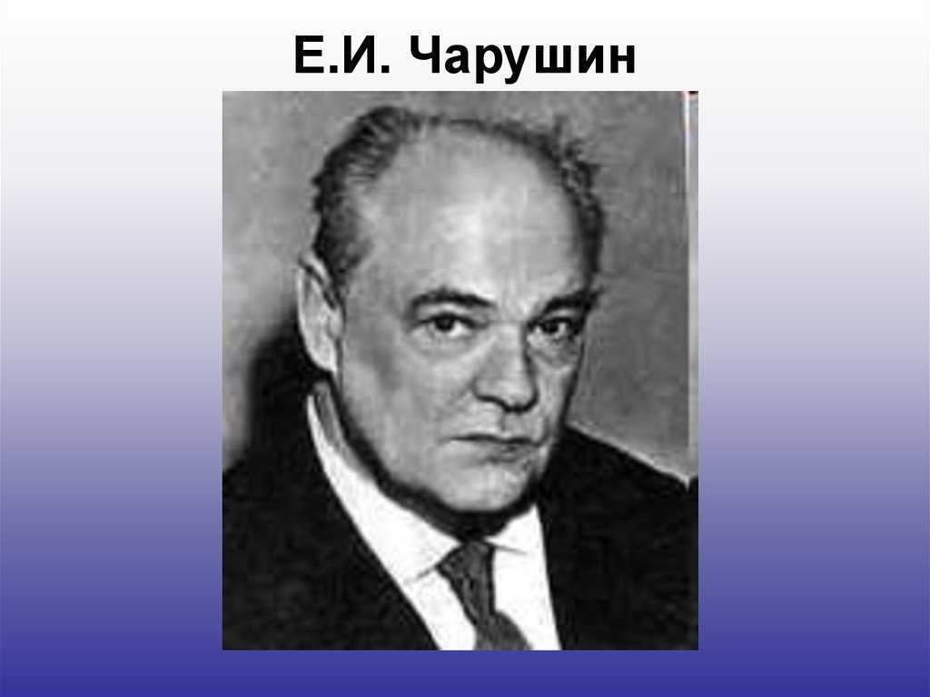 Е чарушин. Чарушин портрет. Портрет е Чарушина. Портрет е.и Чарушина писателя. Чарушин портрет писателя.