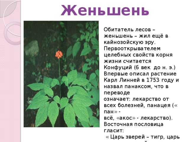 Смысл преступления и наказания