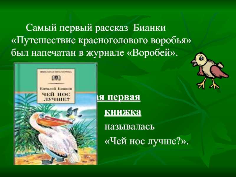 В бианки сумасшедшая птица презентация