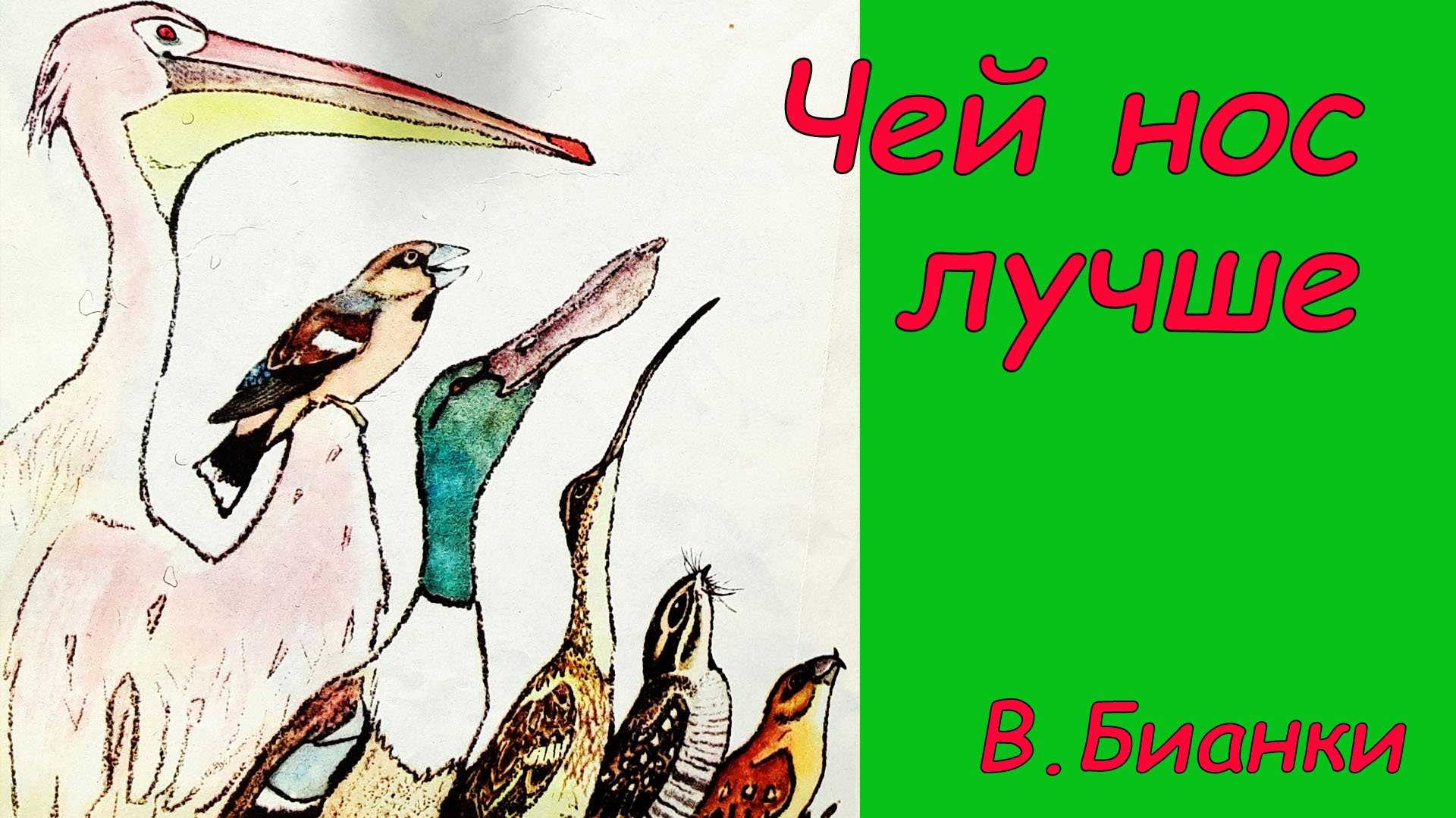Бианки «чей нос лучше?» читать текст полностью