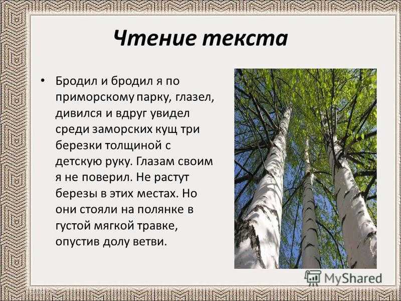 Краткое изложение астафьев родные березы даю 20 балов